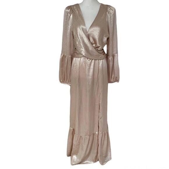 Rahi Leila Luster Long Sleeve Midi Dress in Champagne XL MSRP $186 - Picture 3 of 9